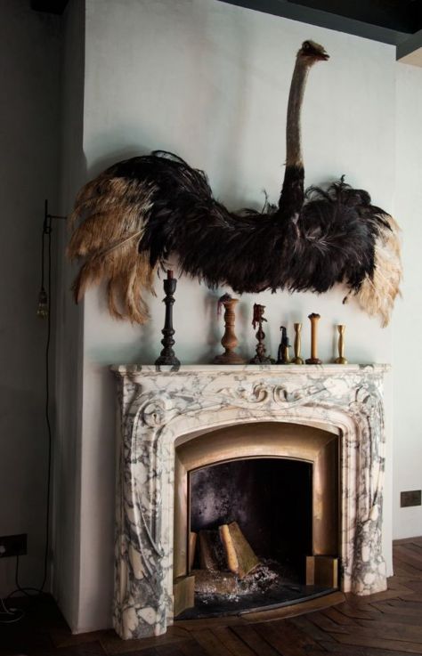 Taxidermy taken to the extreme. (by Decorista Daydreams from bloglovin.com)
