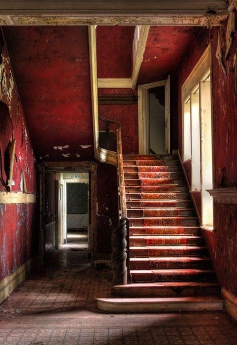 Image from pinterest.