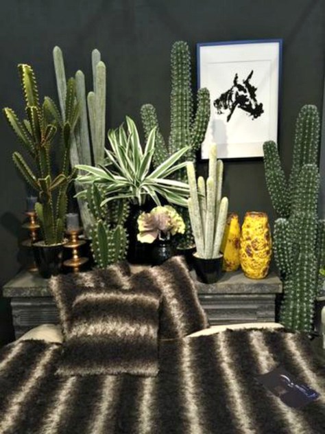 cactus-by-abigail-ahern